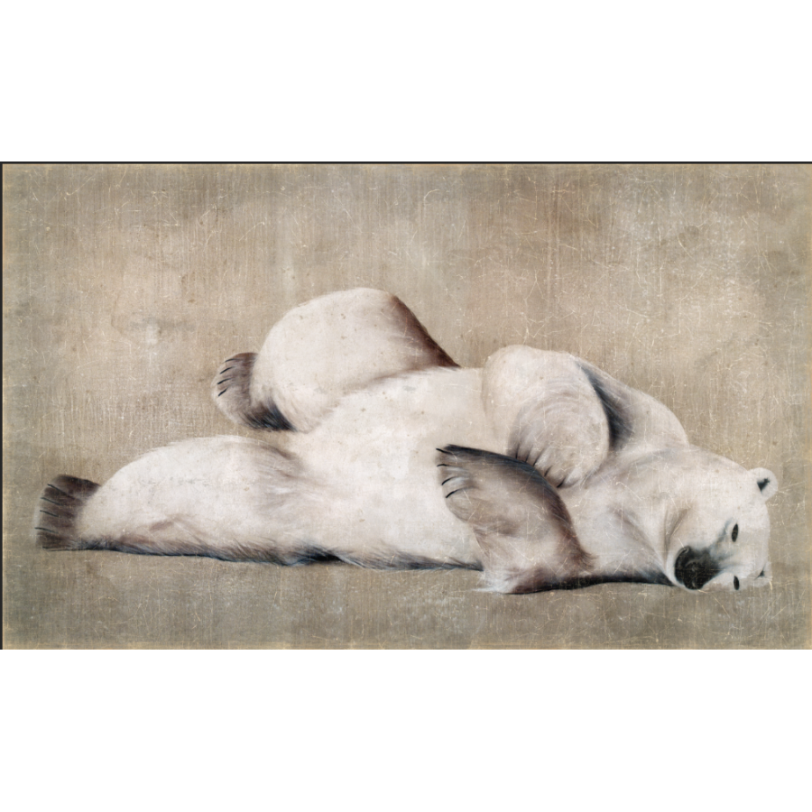 Tableau Papier Lying Bear - OVIO Home