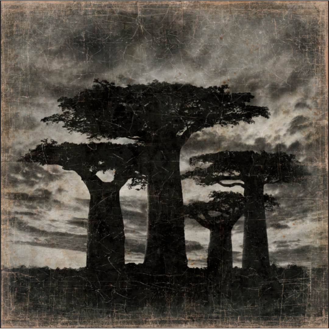Tableau Papier Froissé Baobab Madagascar - OVIO Home