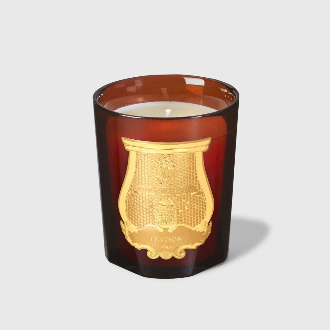 Bougie Absolu de Cire d'Abeille - OVIO Home