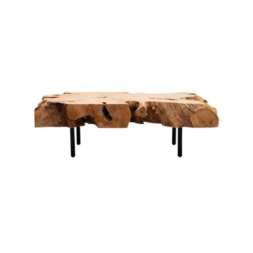 Table Basse Racine d'Arbre