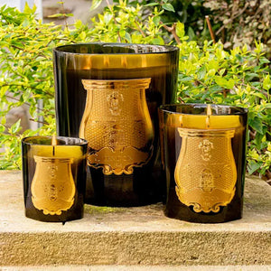 Trudon