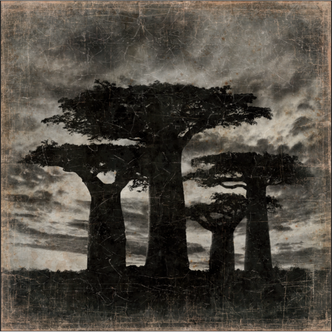 Tableau Papier Froissé Baobab Madagascar