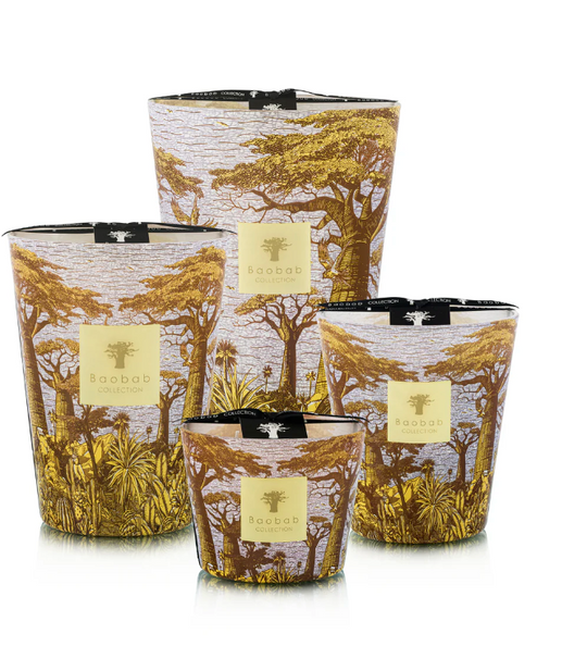 Bougie Sacred Trees Cocody - OVIO Home
