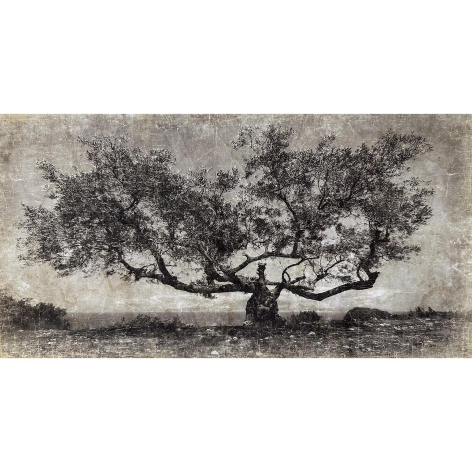 Affiche en Papier Froissé Arbre Paros - OVIO Home