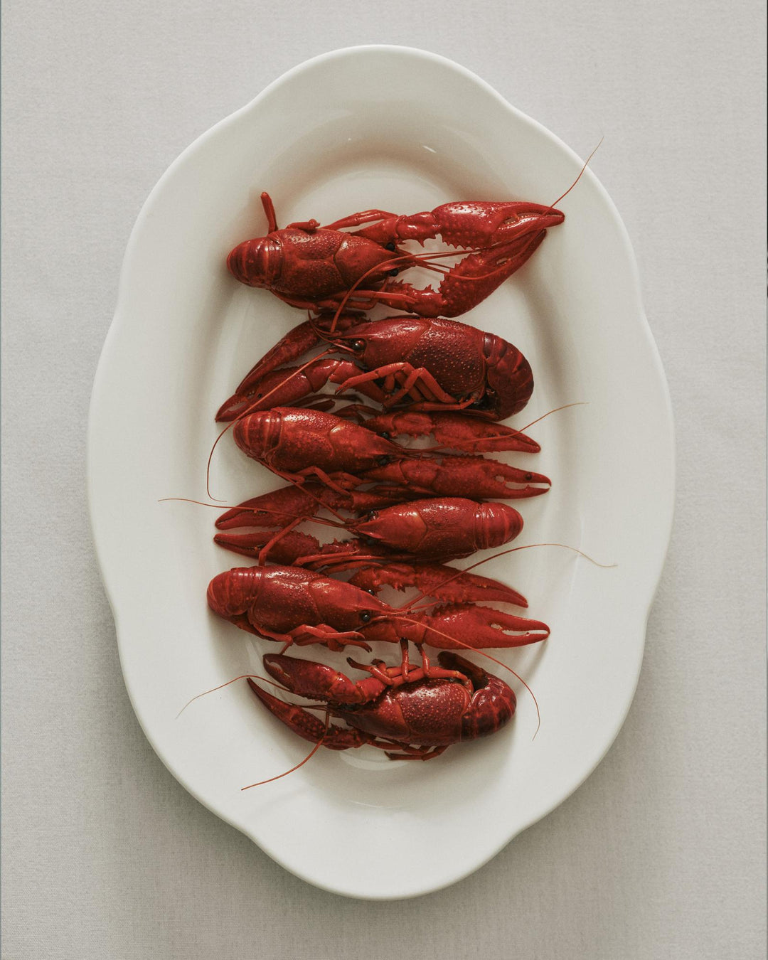 Assiette Creuse / Plat Oval SILHOUETTE Blanc