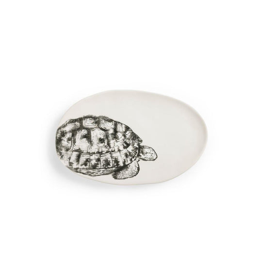 Assiette ESTAMPE TORTUE