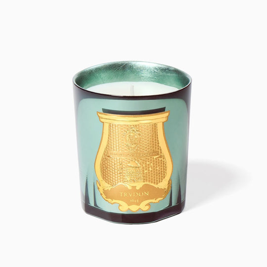 Bougie Noël H26 FIR