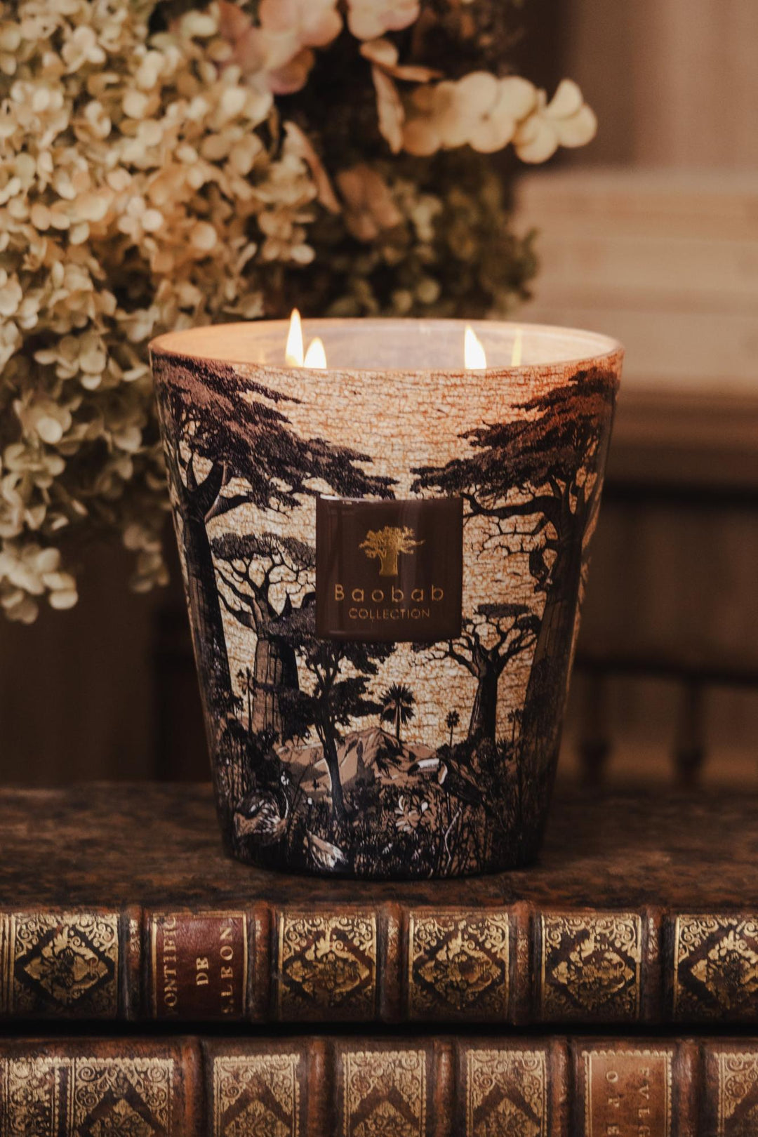 Bougie Sacred Tree - OVIO Home