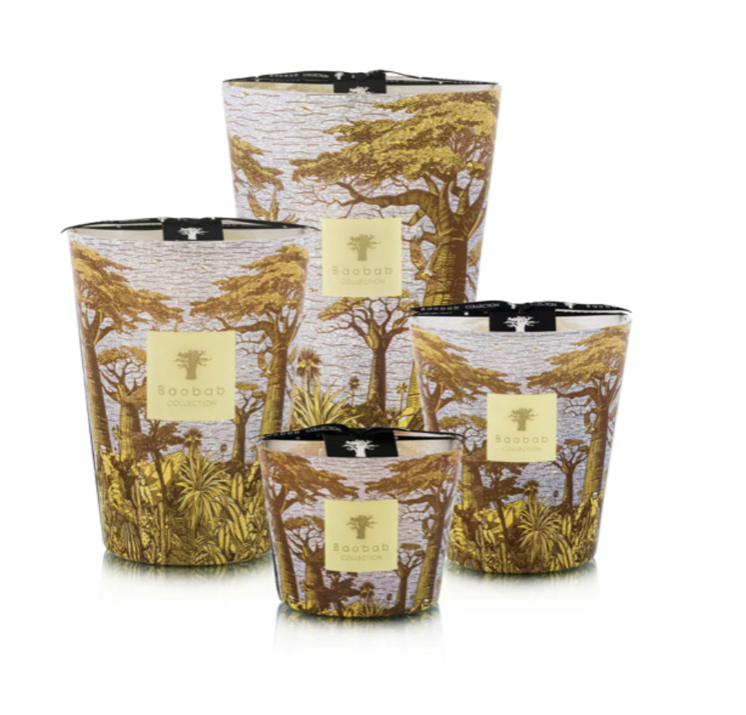 Bougie Sacred Trees Cocody - OVIO Home