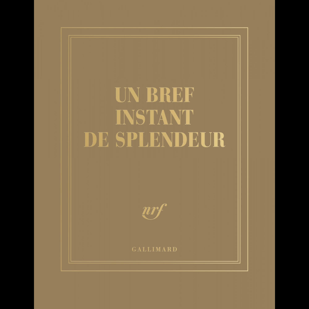 Carnet carré couleur Gallimard Un bref instant de splendeur