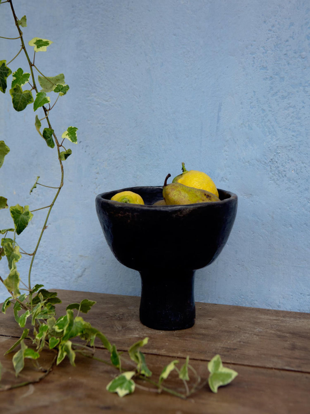 Coupe à Fruits Sejna - OVIO Home