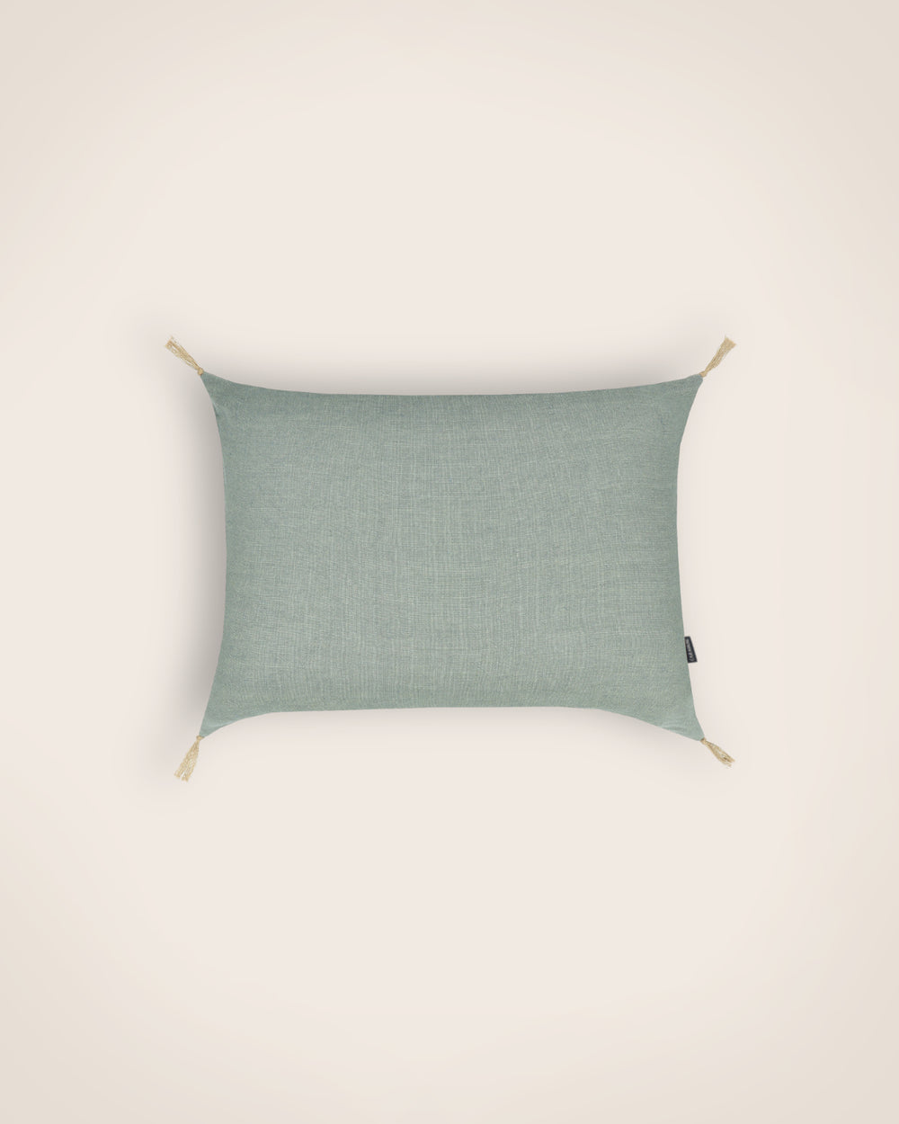Housse de Coussin Lin Lichen