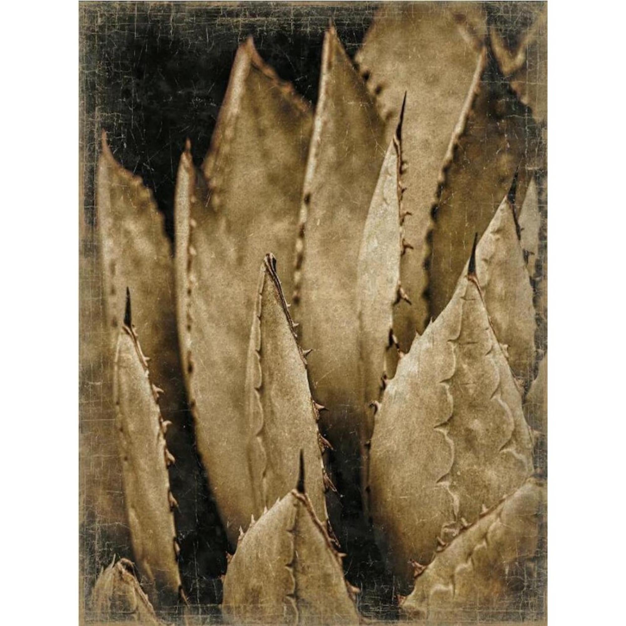 Tableau papier froissé Botanica Agave 90x120cm