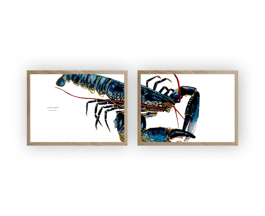TABLEAU POISSON DIPTYQUE HOMARD