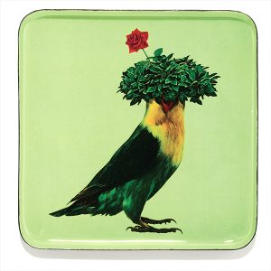 Vide Poche CARRE ANIMALIER ROMEO - Perroquet