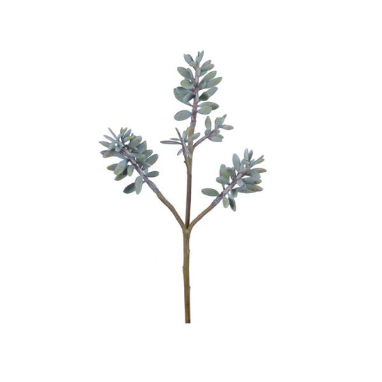 Plante Succulent H54cm Vert