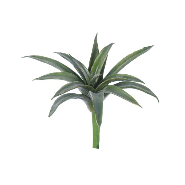 Plante Succulent H24cm Vert