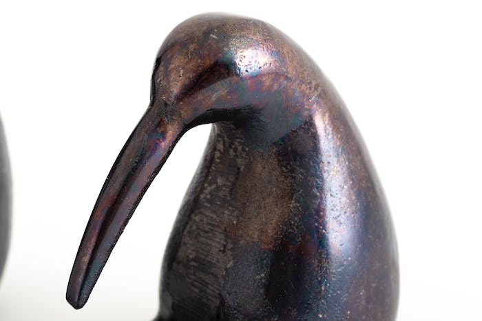 Pingouin Iggy S