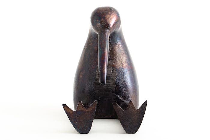 Pingouin Iggy S